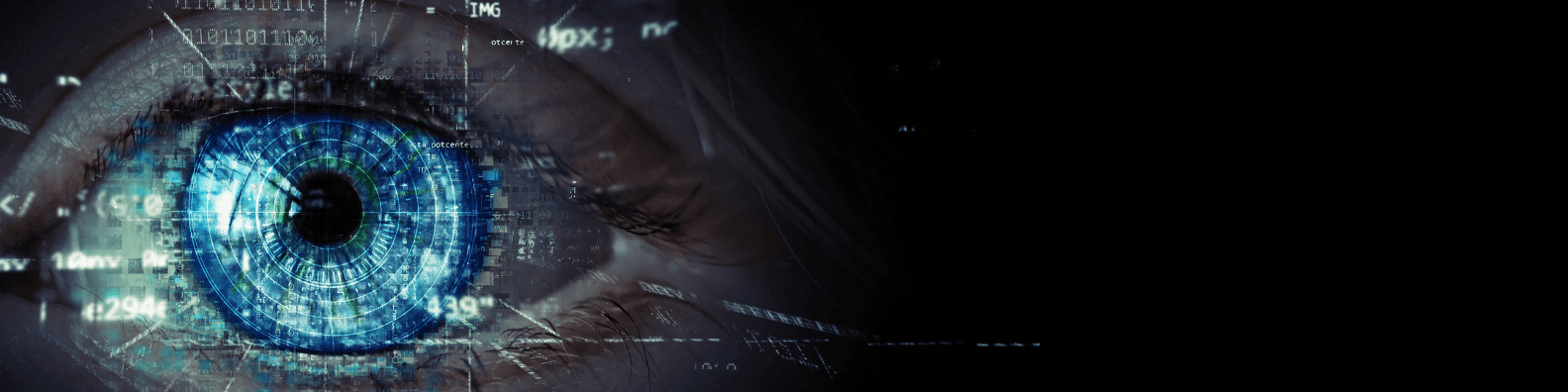 Discover Property Opportunities